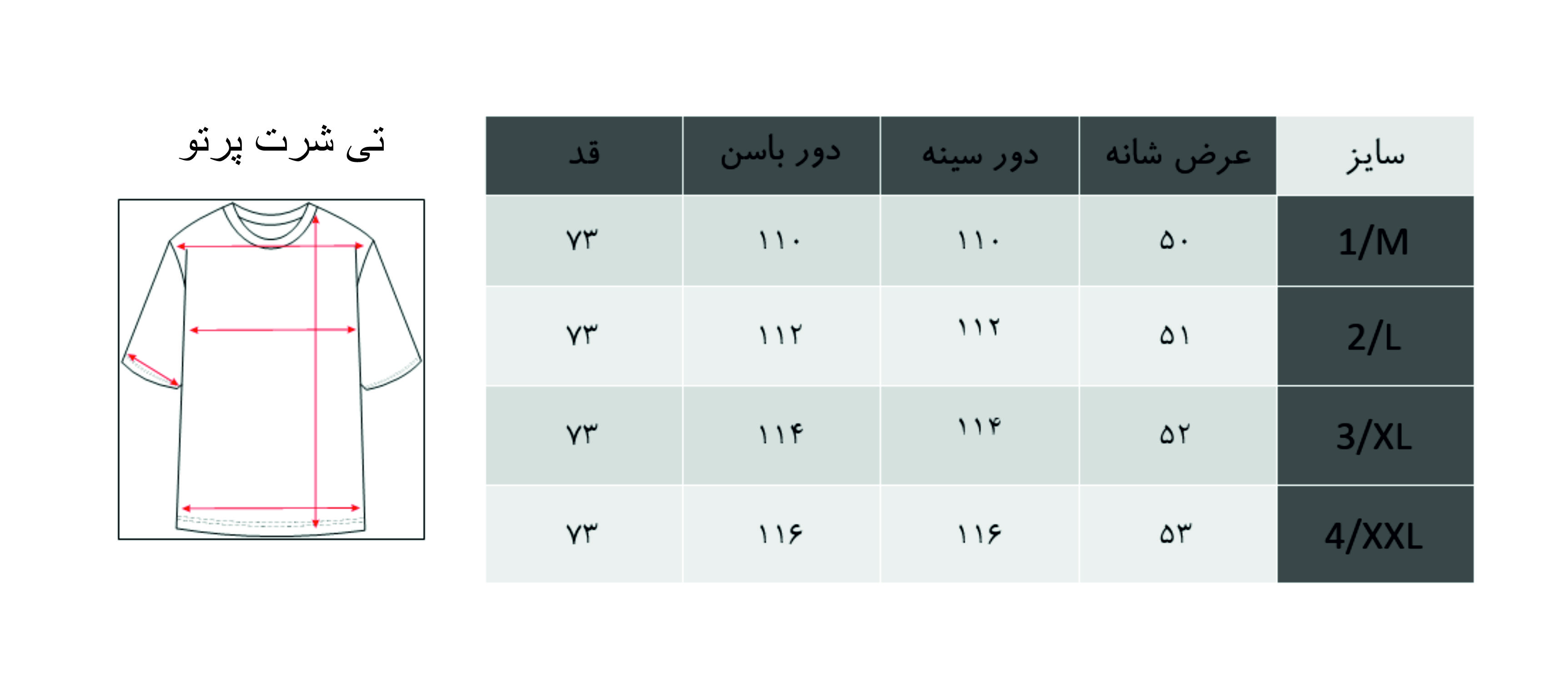 تیشرت آستین کوتاه مردانه پرتو